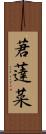 莙薘菜 Scroll
