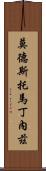 Modesto Martinez Scroll