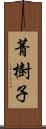 菁樹子 Scroll