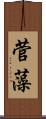 菅藻 Scroll