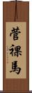 菅裸馬 Scroll
