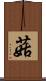 菇 Scroll