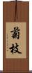 菊枝 Scroll