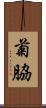 菊脇 Scroll