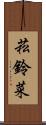 菘 Scroll