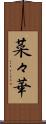 菜々華 Scroll