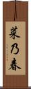 菜乃春 Scroll