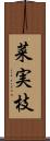 菜実枝 Scroll