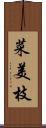 菜美枝 Scroll