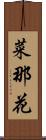 菜那花 Scroll