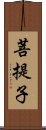 菩提子 Scroll