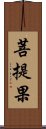 菩提果 Scroll