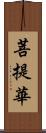 菩提華 Scroll