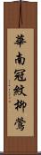 華南冠紋柳鶯 Scroll