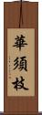 華須枝 Scroll