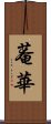 菴華 Scroll