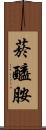 菸醯胺 Scroll