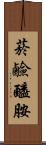 菸鹼醯胺 Scroll