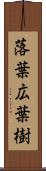 落葉広葉樹 Scroll