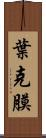 葉克膜 Scroll