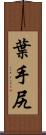 葉手尻 Scroll