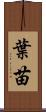 葉苗 Scroll