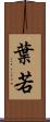 葉若 Scroll