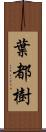 葉都樹 Scroll