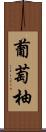 葡萄柚 Scroll