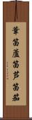 葦笛 Scroll