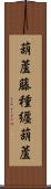 葫蘆藤種纒葫蘆 Scroll
