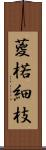 葼 Scroll