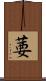 葽 Scroll