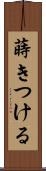 蒔きつける Scroll
