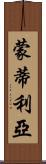 Montilla Scroll