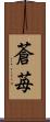 蒼苺 Scroll