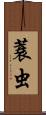 蓑虫 Scroll