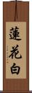 蓮花白 Scroll