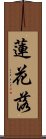蓮花落 Scroll