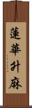 蓮華升麻 Scroll