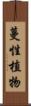 蔓性植物 Scroll