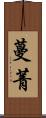 蔓菁 Scroll
