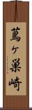 蔦ヶ巣崎 Scroll