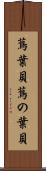 蔦葉貝 Scroll