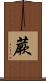 蕨 Scroll