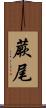 蕨尾 Scroll
