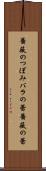 薔薇のつぼみ Scroll