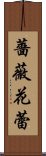 薔薇花蕾 Scroll