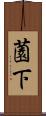 薗下 Scroll