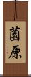 薗原 Scroll